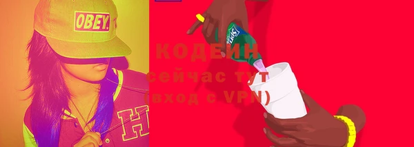 гашик Арсеньев