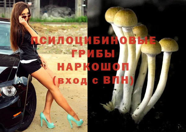 гашик Арсеньев