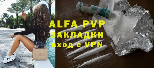 гашик Арсеньев
