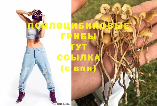 Альфа ПВП Аркадак