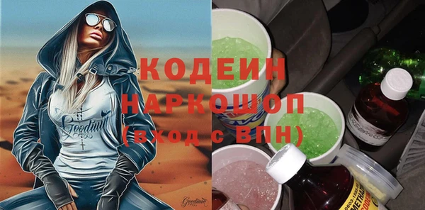 гашик Арсеньев
