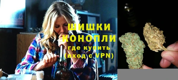 гашик Арсеньев