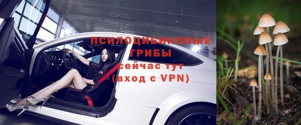 гашик Арсеньев