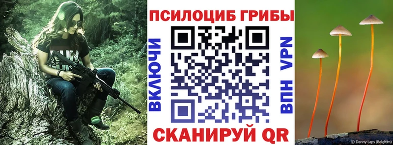 ссылка на мегу вход  Белёв  Псилоцибиновые грибы MAGIC MUSHROOMS 